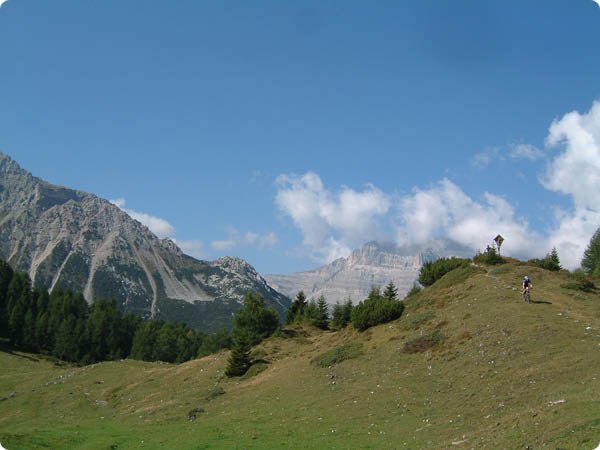 dscf0194.jpg