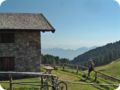 dscf0192_bearbeitet-1.jpg