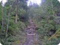 transalp_2005_222_bearbeitet-1.jpg