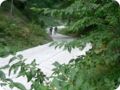 transalp_2005_320.jpg