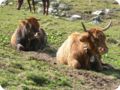 transalp_2005_315.jpg