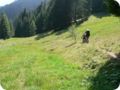 transalp_2005_335.jpg
