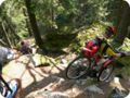 transalp_2005_348.jpg