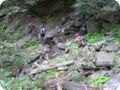 transalp_2005_350.jpg