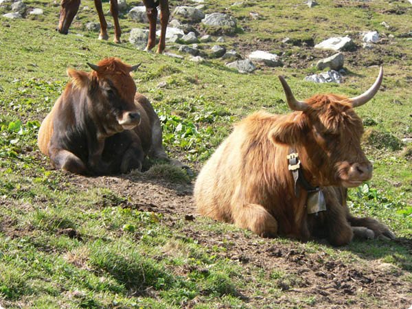 transalp_2005_315.jpg