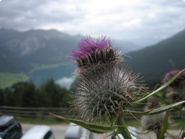 nauders_27.08.07__37_.jpg