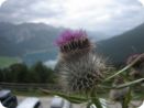 nauders_27.08.07__37_.jpg