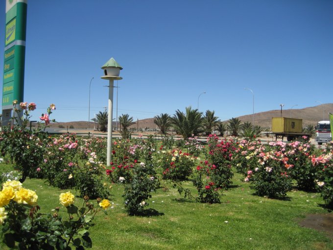 119.jpg