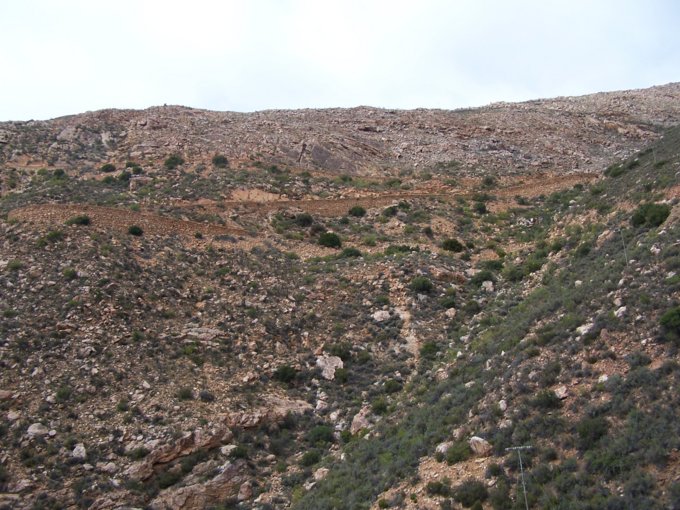 170.jpg