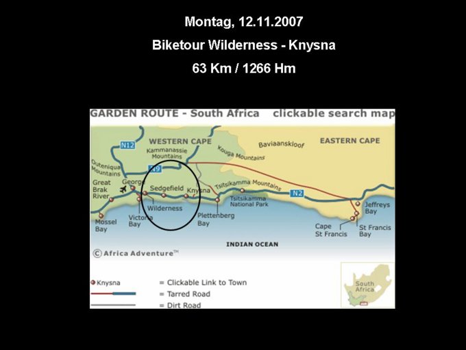 239.jpg