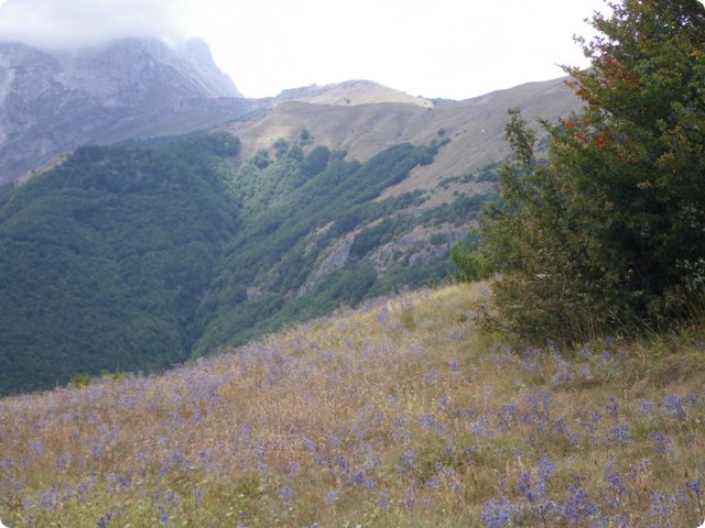 71.jpg