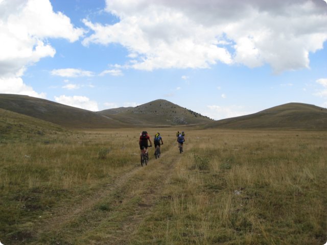 118.jpg