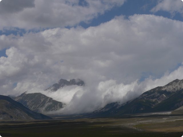 137.jpg