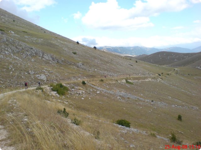 139.jpg