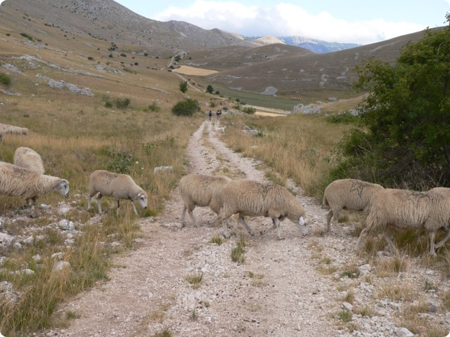 140.jpg