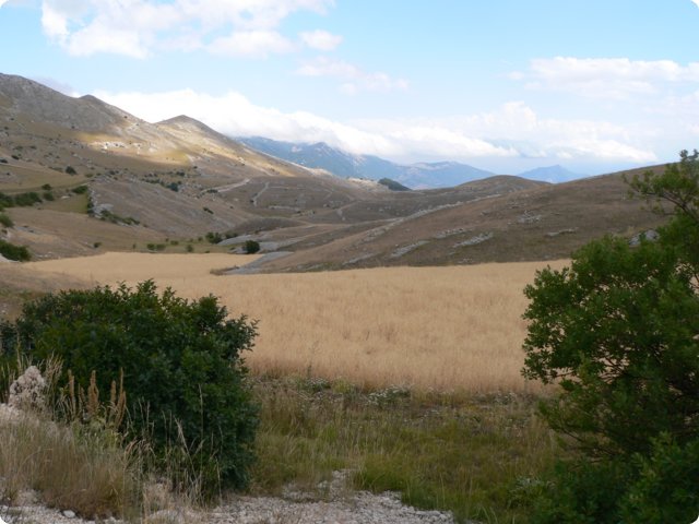 142.jpg