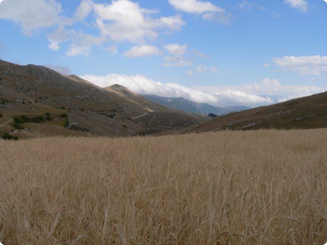 145.jpg