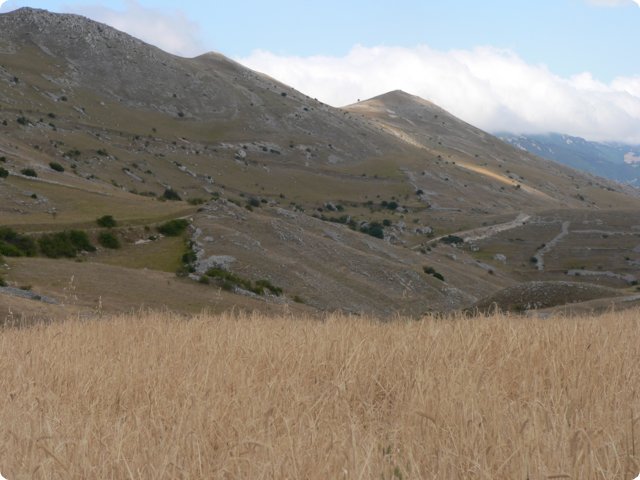 146.jpg