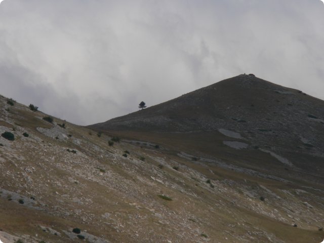 148.jpg