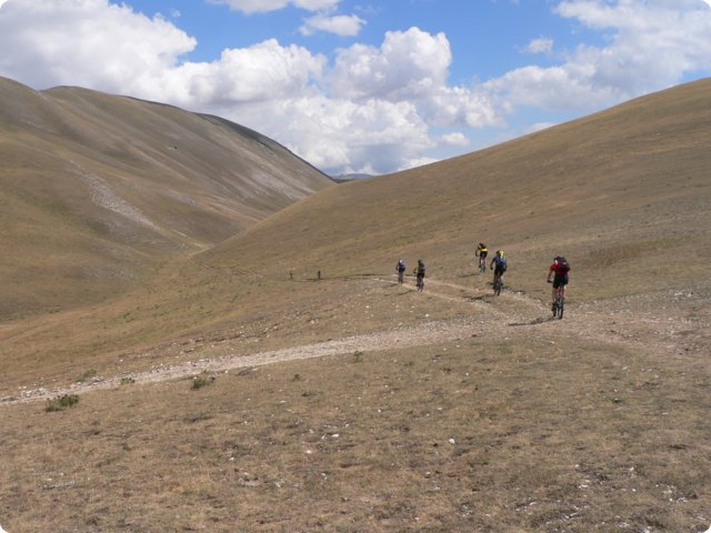97.jpg
