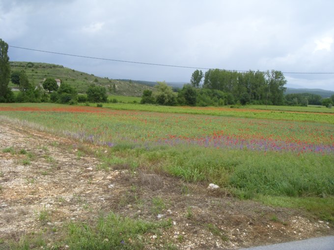 168.jpg