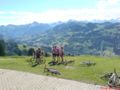 bikeweekend_saanenmoeser_043.jpg