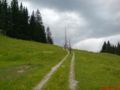 bikeweekend_saanenmoeser_057.jpg