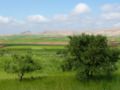 marokko_058.jpg