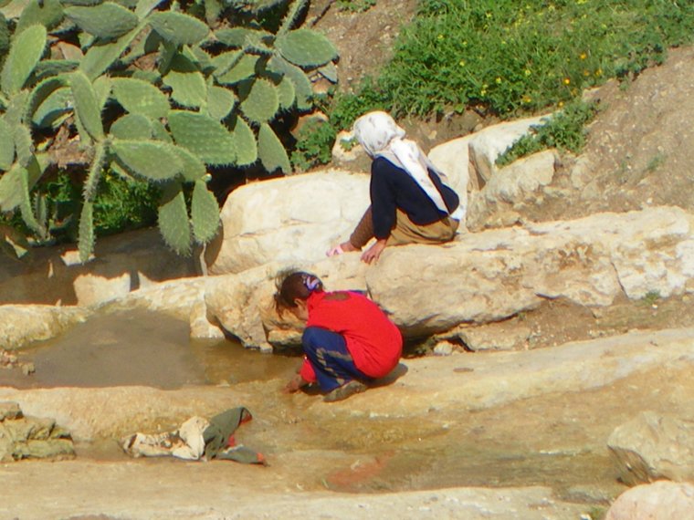 imgp1235.jpg