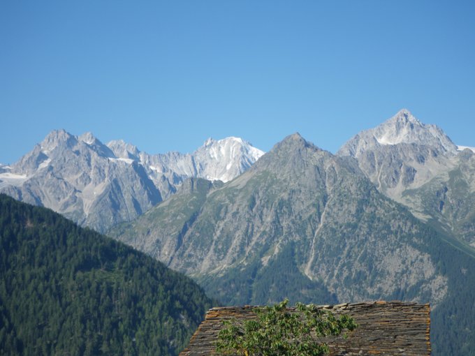 77.jpg