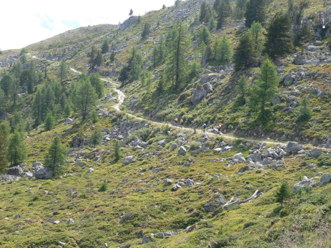 275.jpg