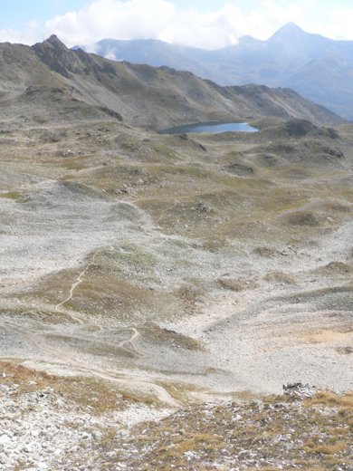 458.jpg