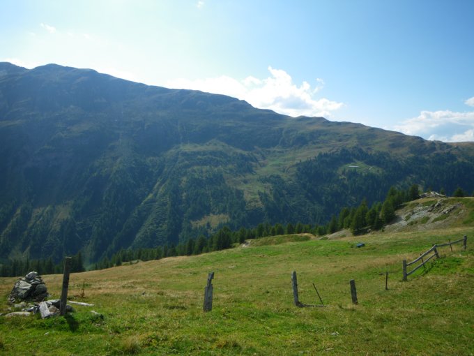 557.jpg