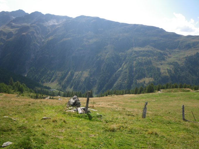 558.jpg