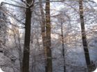 img_0048.jpg