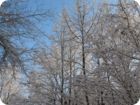 img_0060.jpg