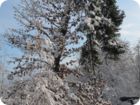 img_0066.jpg