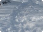 img_0116.jpg
