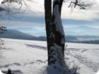 img_0118.jpg