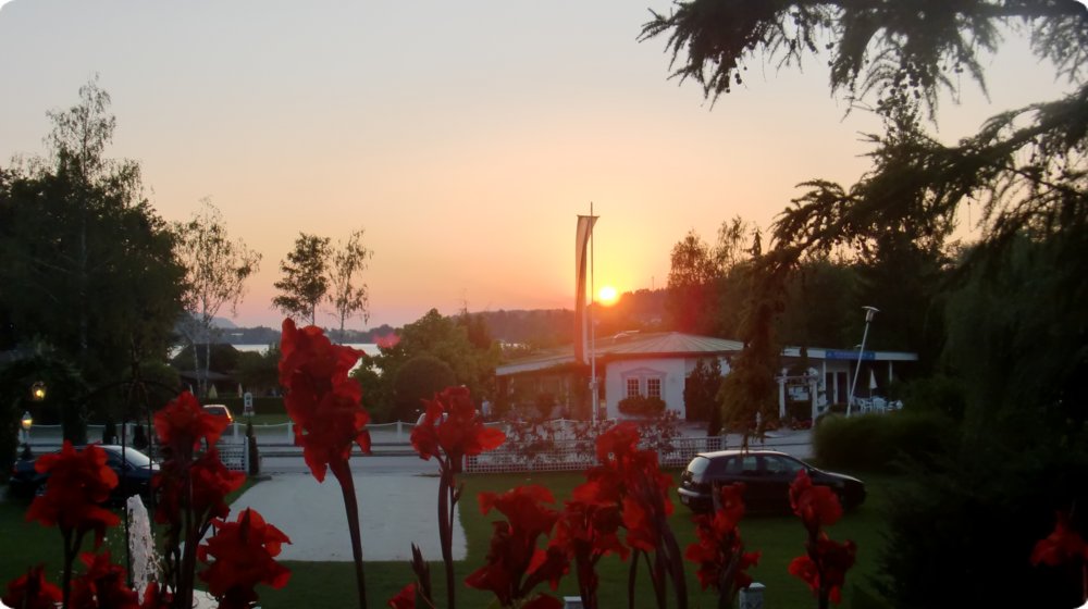 166.jpg