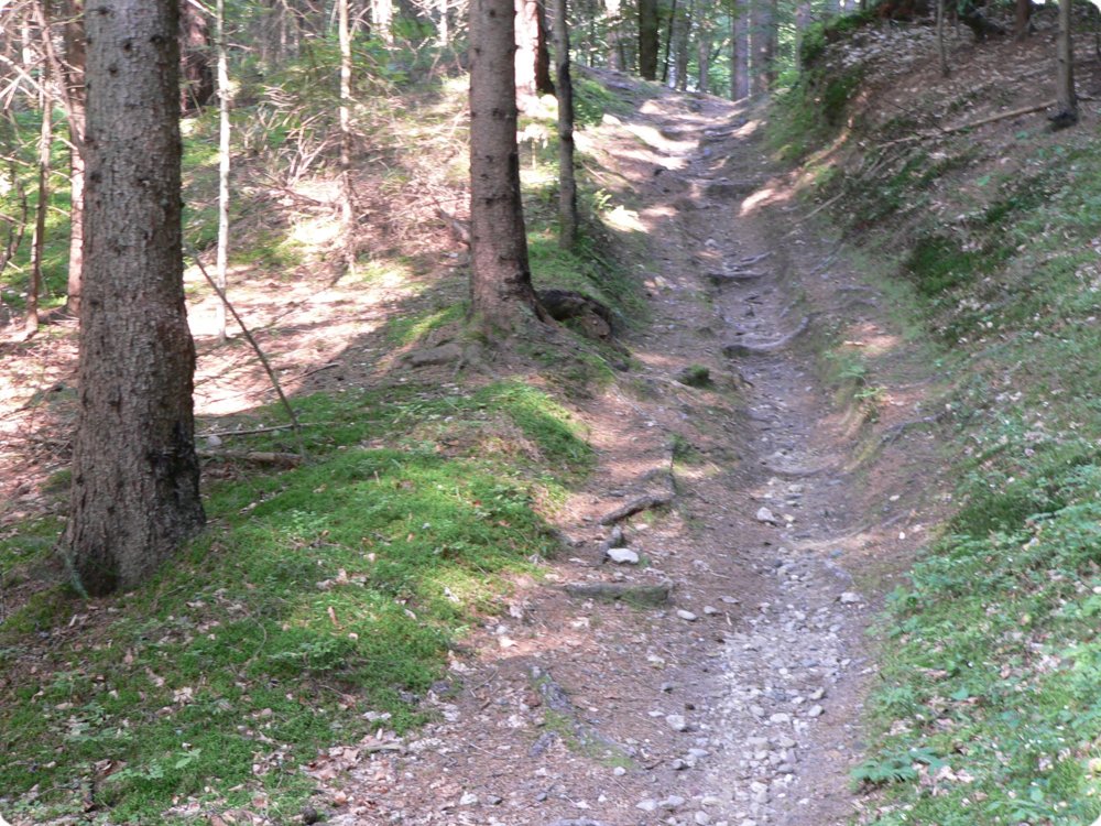219.jpg
