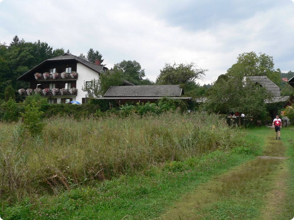263.jpg