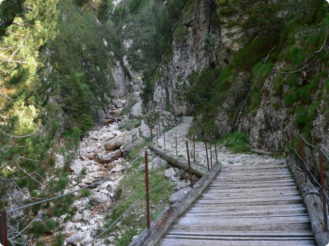 169.jpg