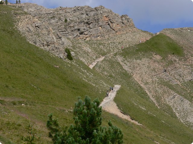192.jpg