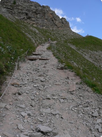 195.jpg