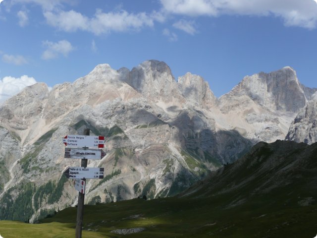 196.jpg