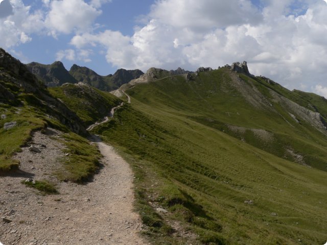 204.jpg