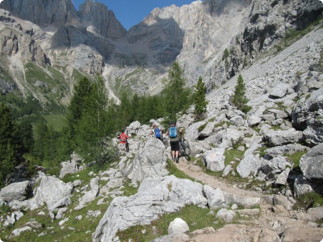 228.jpg