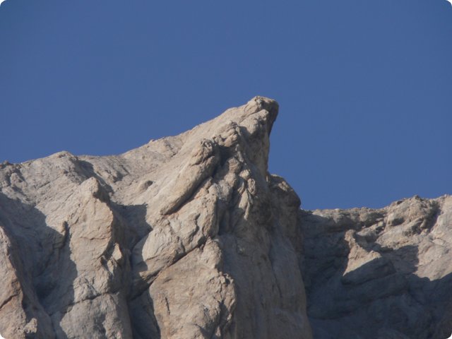 235.jpg