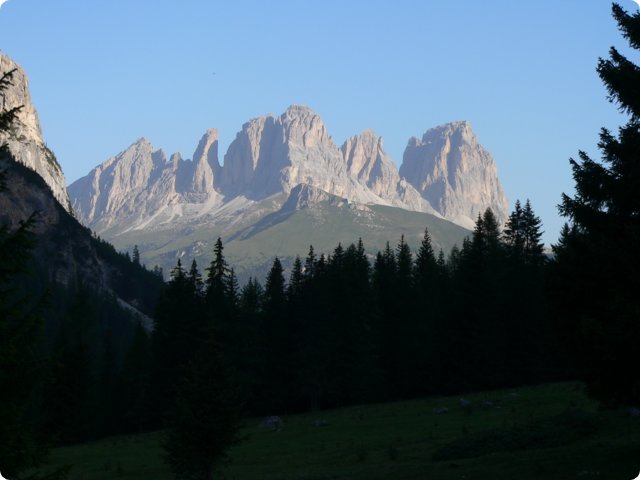 239.jpg